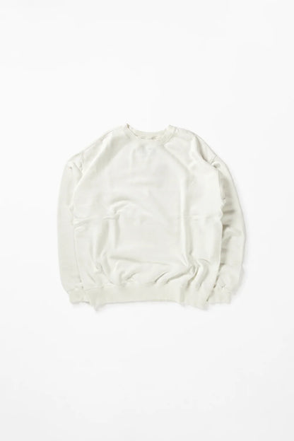 DELICIOUS "Urban Crew Sweat"